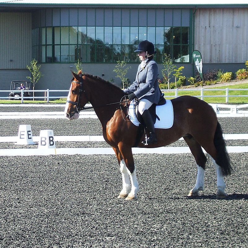 Debbie dressage